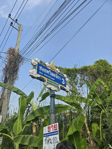 บ้านเดี่ยว ขาย Luxury-detached-house-for-sale, Luxury-detached-house-for-sale, บ้านเดี่ยวหรู2ชั้นพร้อมสระว่ายน้ำสุขุมวิท in-Sukhumvit71,SoiPridiBanomyong26 rightintheheartofSukhumvit
