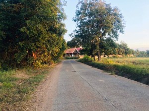 ขาย ที่ดิน เข้าออกหมู่บ้านได้2เส้นทาง ใกล้ทางหลวงหมายเลข24 ที่นา-ที่ดินราคาถูกนครราชสีมา ใกล้ถนนโชคชัย-เดชอุดม น้ำประปาไฟฟ้าผ่านหน้าที่นา