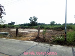 ที่ดิน ขาย ขายถูก โครงการเชิงพาณิชย์ ที่ดินธัญบุรีคลอง6,หรือปทุมธานี เหมาะทำหมู่บ้านจัดสรร เหมาะจัดสรรแบ่งขาย,