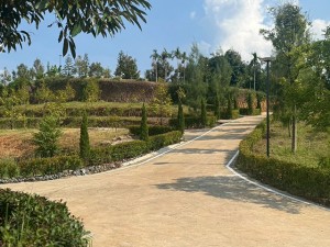 ขาย ที่ดิน 泰国榴莲果园投资 泰国尖竹汶府榴莲果园投资立即 ลงทุนทุนสวนเรียน-จันทบุรี-รับรายได้ทันทีจากผลผลิต CheaperthanOthersbyMillions- Durian-Farm-Investment-Chanthaburi-