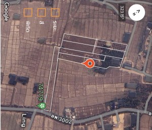 ที่ดิน ขาย เจ้าของขายเอง ตำบลป่าสัก ขายที่ดินอำเภอเมืองลำพูนราคาถูก ติดถนนบ้านบูชา-ป่าสัก ใกล้แหล่งชุมชน-ตลาด-ห้าง-โรงพยาบาล